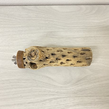 カクタスパーチ⑦ 小サイズ 直径（約4cm）長さ/13.5cm