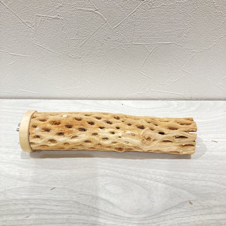 カクタスパーチ中① 直径約5cm 長さ20cm