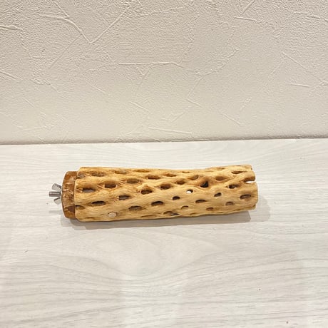 カクタスパーチ⑧  小 直径約4cm 長さ15cm