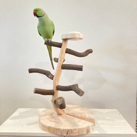 ツタのツリーバードアスレチック【インコのおもちゃ・自然木のとまり木】