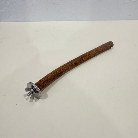 自然木（ツタ）パーチ 直径約1.4cm/長さ20cm