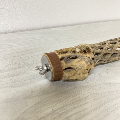 カクタスパーチ① 極小サイズ 直径（約2-3cm）長さ/12cm