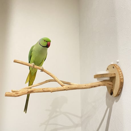 ピノキオの鼻 ③  おやつ入れ付き