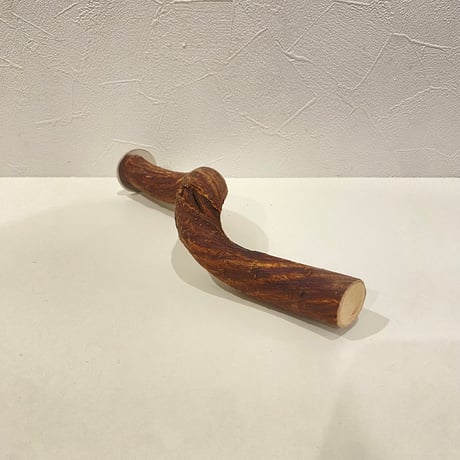 自然木（ツタ）パーチ 直径約2.7cm/長さ25cm
