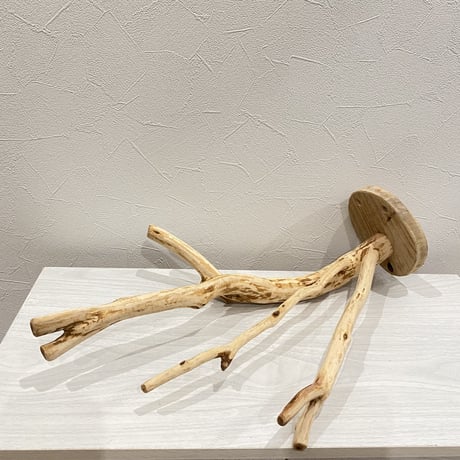ピノキオの鼻 ② 貝塚伊吹
