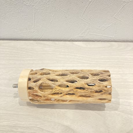 カクタスパーチ⑤  小　直径4cm前後 長さ10cm