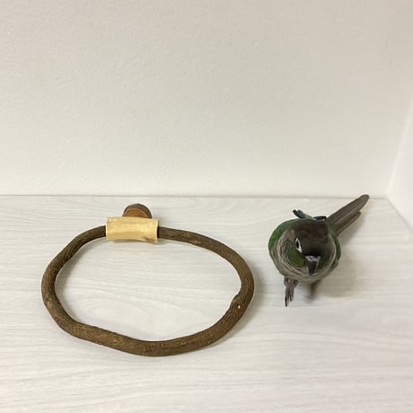 自然木（ツタ）のドーナツパーチ②ビックサイズ  パーチ直径1cm／円直径19×15.5cm
