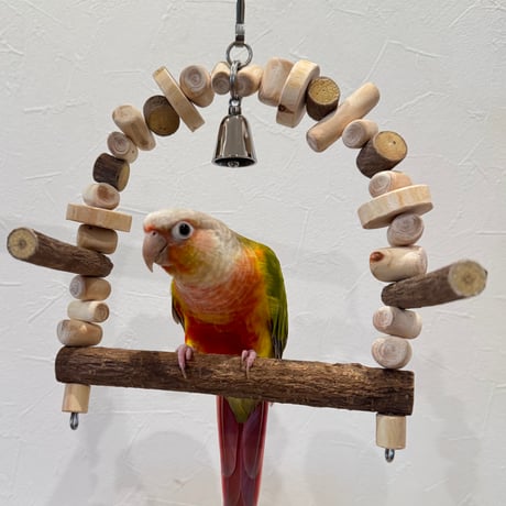 CATEGORY おもちゃ | 自然木の鳥用品 鳥豆堂【トリマメドウ】バード