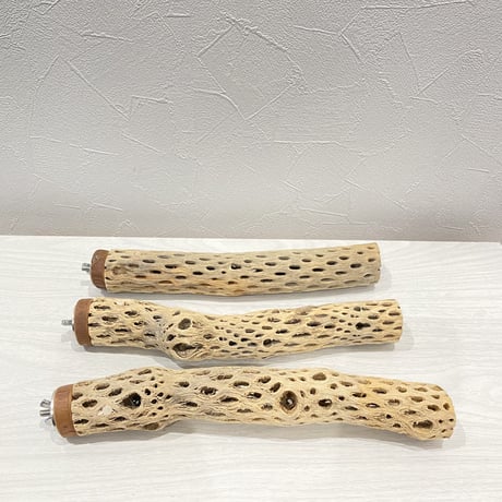 【のの様専用】カクタスパーチ  小/25cm×3