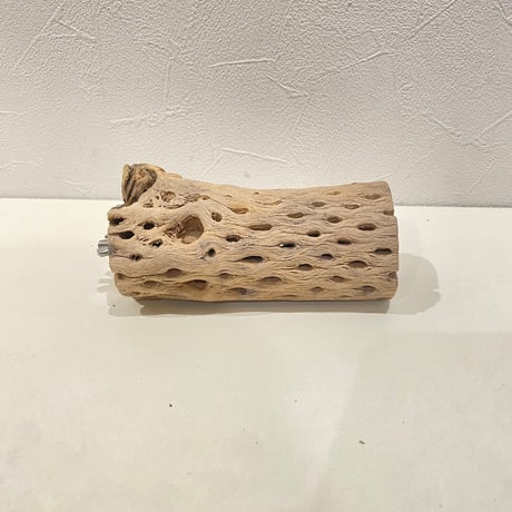 カクタスパーチ(H) 直径約5cm/長さ13cm