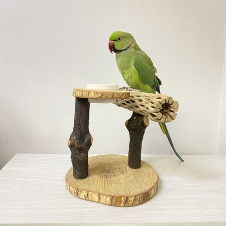 おやつ入れ付き カクタススタンドパーチ② 中型さん用