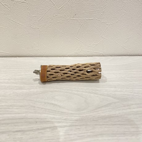 カクタスパーチ⑨ 極小直径2-3cm/10cm