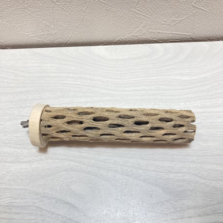 カクタスパーチ⑩小3-4㎝長さ15㎝