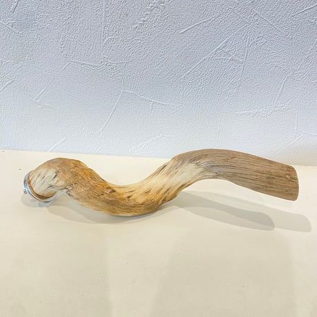 自然木（ツタ皮無し）パーチ 直径約2.5cm/長さ19cm