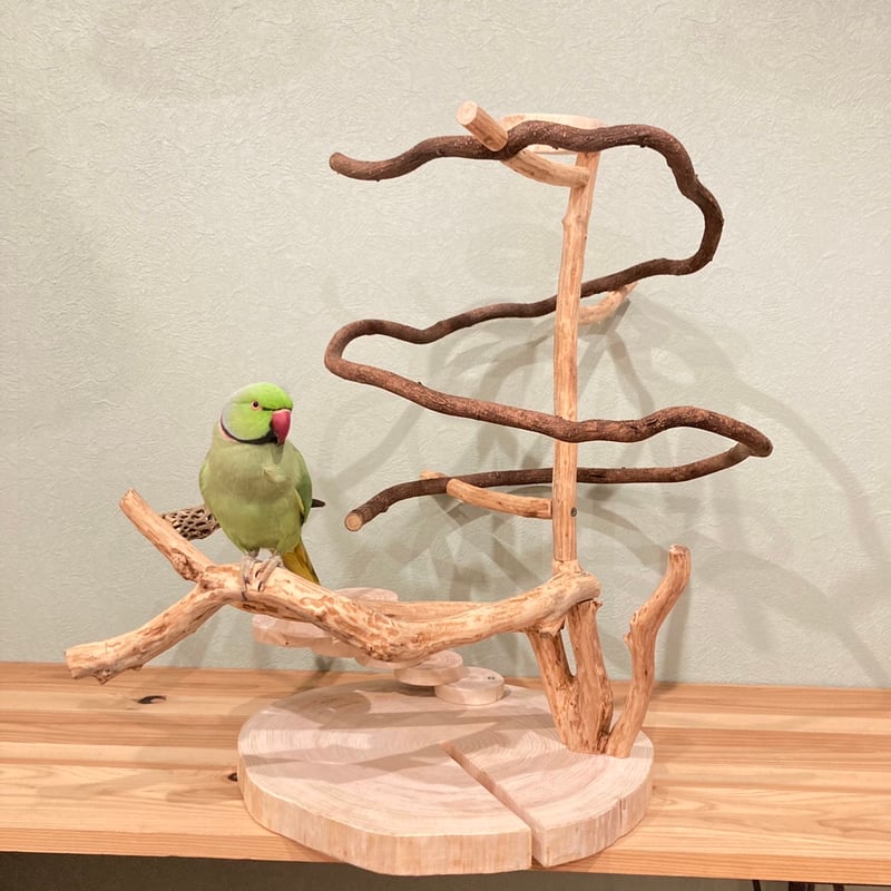 中型鳥用】天然木バードアスレチック