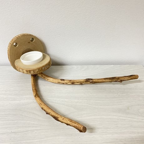 ピノキオの鼻③