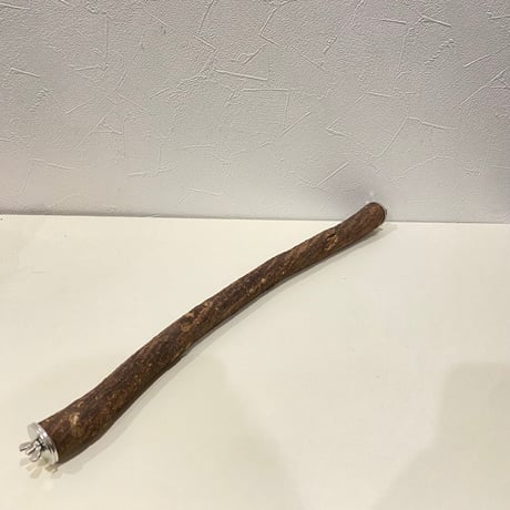 殿様パーチ（自然木ツタ） HOEI465サイズ  直径約2.5cm