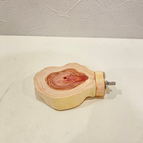 貝塚伊吹テーブルパーチ  ①