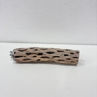 カクタスパーチ極小サイズ⑲ 直径約3.2cm/長さ15cm【自然木 止まり木 バンブルフット 趾瘤症 】