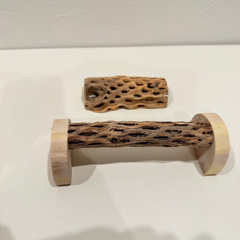 幼鳥・老鳥・介護サポート用 置き型カクタスパーチ 全長19cm/カクタス