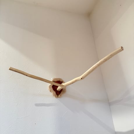桧のピノキオの鼻 ⑥