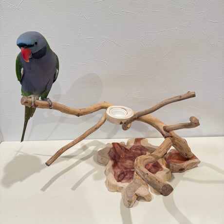 カイヅカイブキのおやつ入れ付きスタンドパーチ  【インコ 自然木 止まり木 】