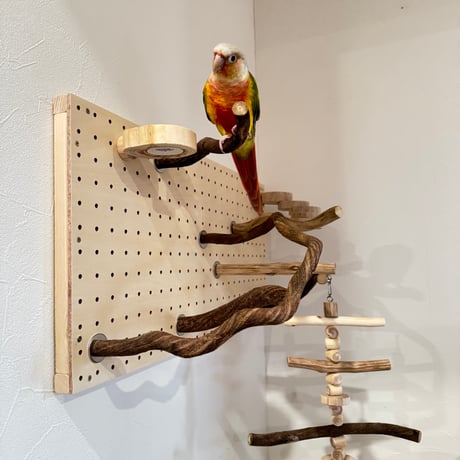 自由にカスタム　壁掛けバードアスレチック【A】