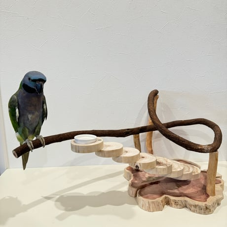 螺旋階段とツタパーチのバードアスレチック【インコのおもちゃ・自然木のとまり木】