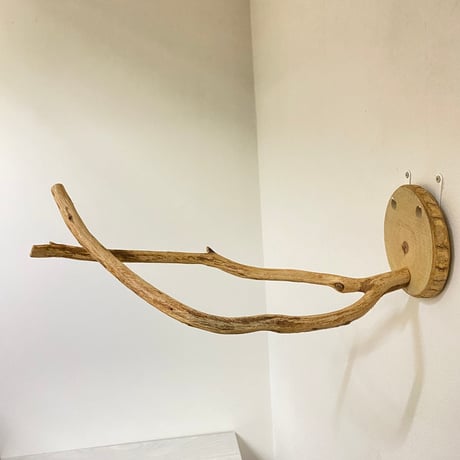 ピノキオの鼻 ④