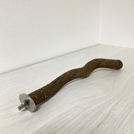 自然木（ツタ）パーチ④