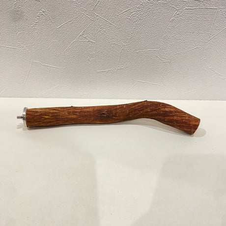 自然木（ツタ）パーチ 直径2.6cm/長さ25cm