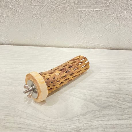 カクタスパーチ小 ③直径3~4cm 長さ10cm