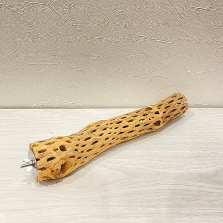 カクタスパーチ【K】直径4~5cm/長さ30cm