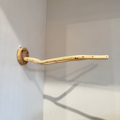 桧のピノキオの鼻①