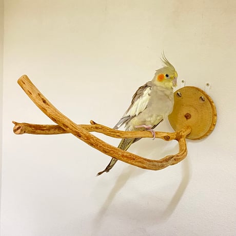 ピノキオの鼻 ④