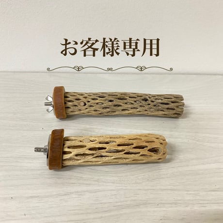 【t-k様専用】カクタスパーチ極小　直径2〜3cm／長さ10cm &15cm
