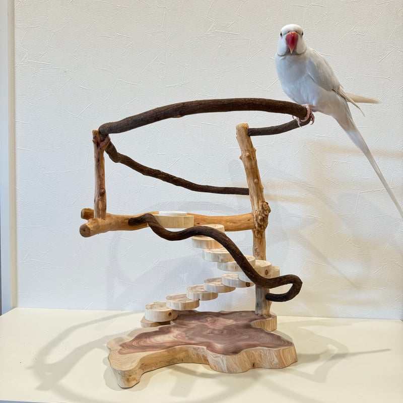 ツタと螺旋階段のぐるぐるバードアスレチック【インコのおもちゃ・自然