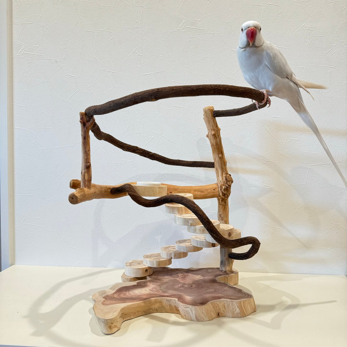 ツタと螺旋階段のぐるぐるバードアスレチック【インコのおもちゃ・自然