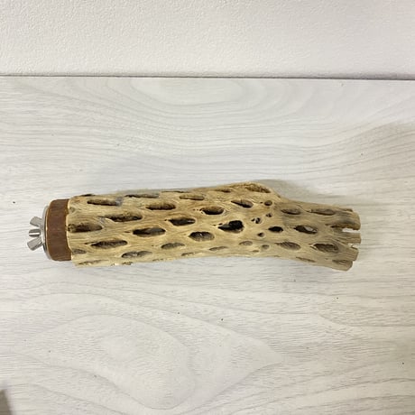 カクタスパーチ 小サイズ② 直径約3.5cm 長さ/15cm