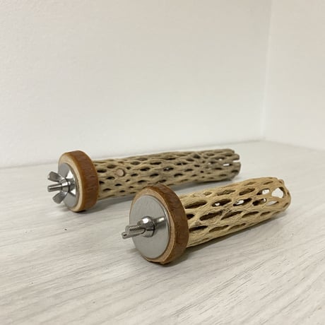 【t-k様専用】カクタスパーチ極小　直径2〜3cm／長さ10cm &15cm