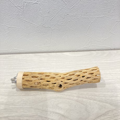 カクタスパーチ極小⑪ 直径約2~3cm 長さ15cm