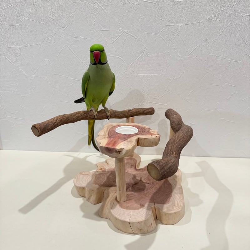 ツタのおやつ入れ付きスタンドパーチ【インコ 天然木 自然木 パーチ