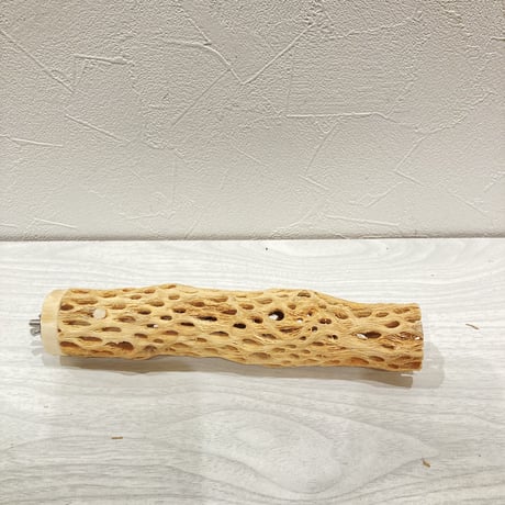 カクタスパーチ小⑤ 直径約3~4cm 長さ20cm