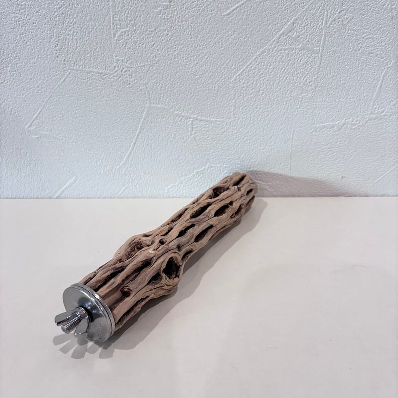 カクタスパーチ極小サイズ① 直径2.5~3cm/長さ15cm【自然木 止まり木
