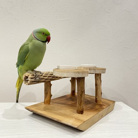 カクタスのスタンドパーチ　おやつ入れ付き パーチ長さ30cm