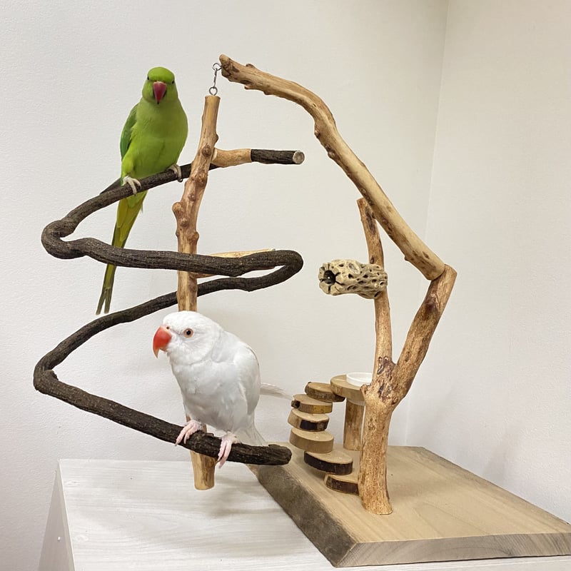 自然木のゆらゆらゆりかごバードアスレチック | 自然木の鳥用品 鳥豆堂