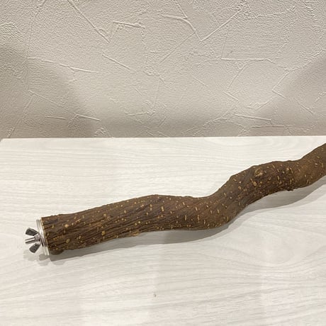 殿様パーチ（自然木ツタ）⑤ HOEI465サイズ 直径2.7cm