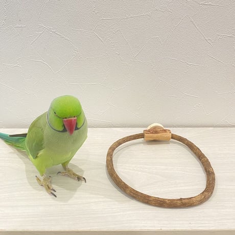 自然木（ツタ）のドーナツパーチビックサイズ Ｆ パーチ直径1cm／円直径19×16cm