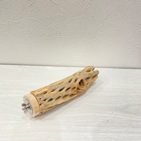 カクタスパーチ⑳中4.5~5.5cm長さ18㎝