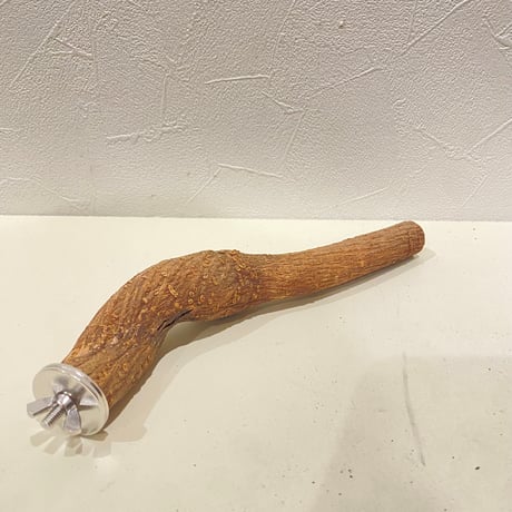 自然木（ツタ）パーチ ③ 直径約2~2.7cm/長さ21cm